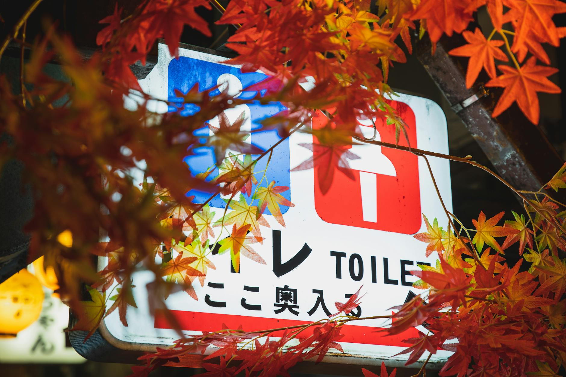 2025-11-21 日記 - 今日は晴れた金曜日。リモート勤務もサクサ…