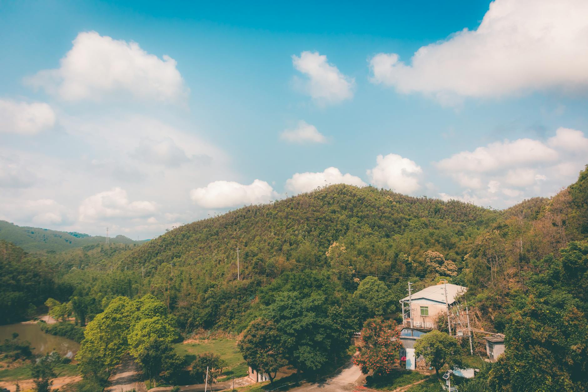 2025-11-23 日記 - 今日は雨模様。体調もいまいちだけど、日雇…