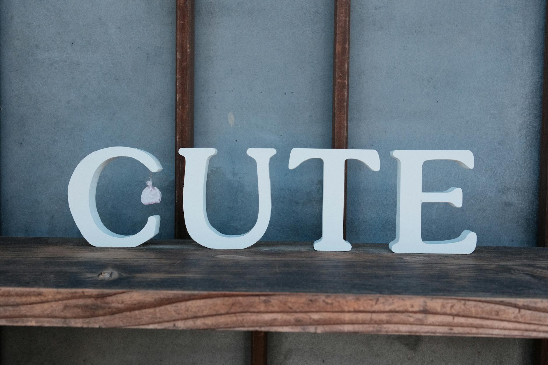 2025-11-24 日記 - 今日は雲一つない晴れ！体調もバッチリで、…