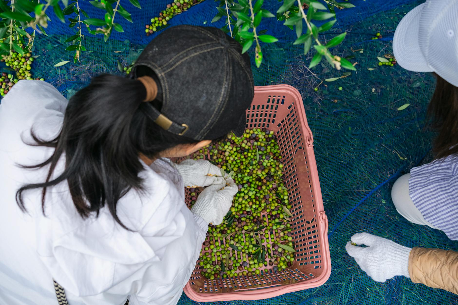 2025-12-21 日記 - 日曜日と受験、今日はちょっと寒い一日だったな…。