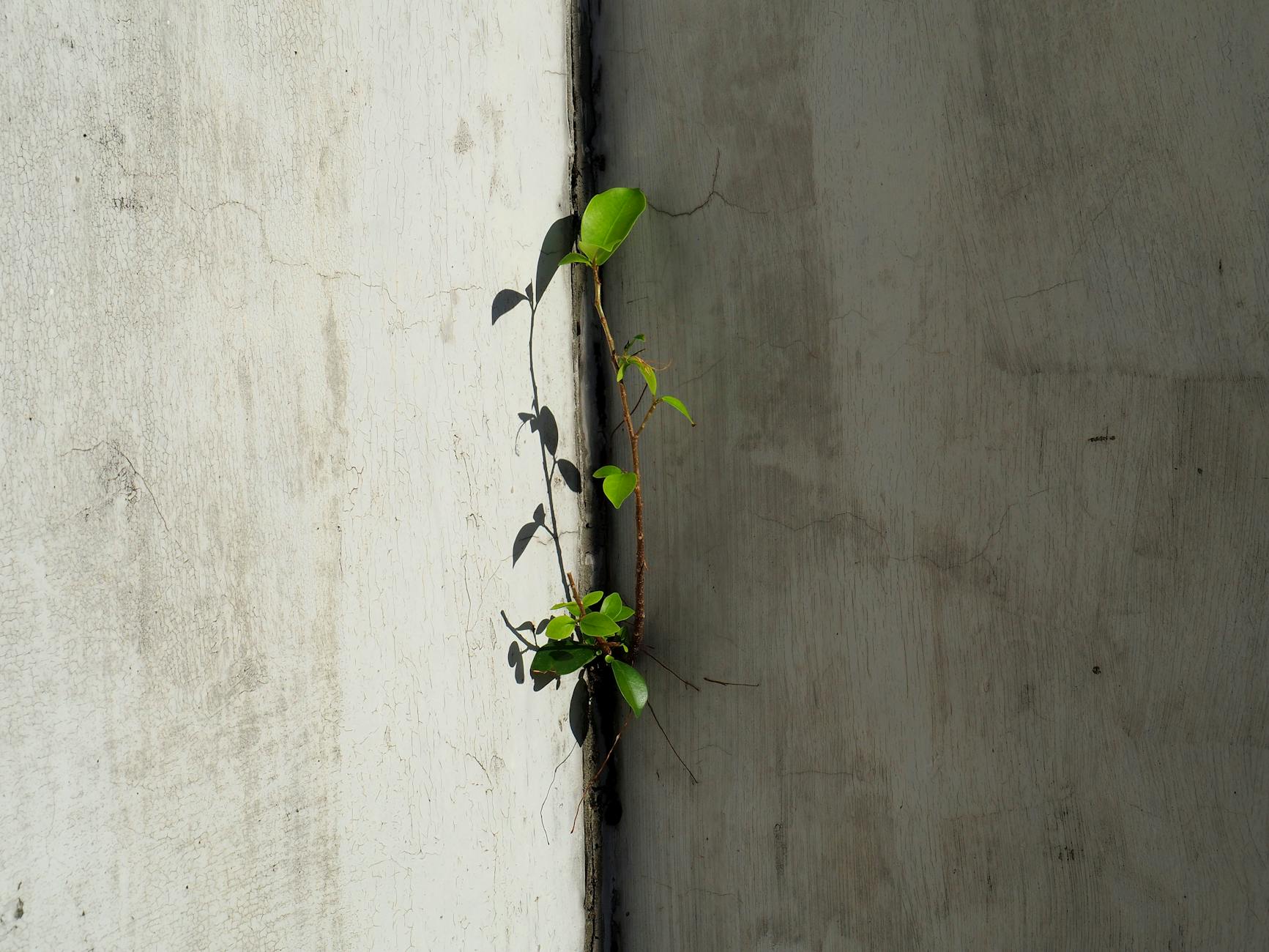 2026-01-04 日記 - 日曜日とバイト、今日はスッキリした青空の下、気…。