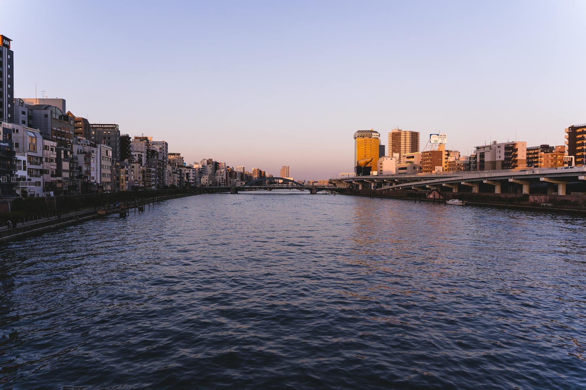 2026-02-08 日記 - 日曜日と日雇いバイト、朝起きてリビングに足を踏み入れ…。