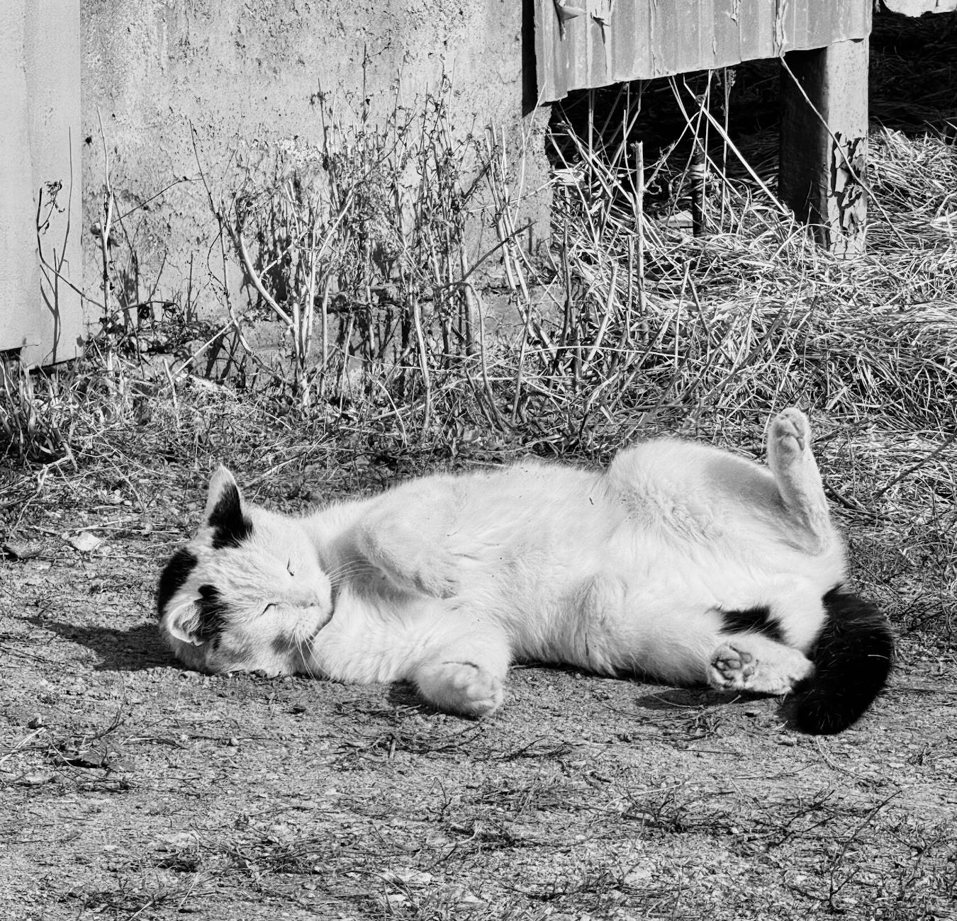 2026-02-23 日記 - 受験と吹奏楽、午前中、窓を開けたら冷たい空気…。