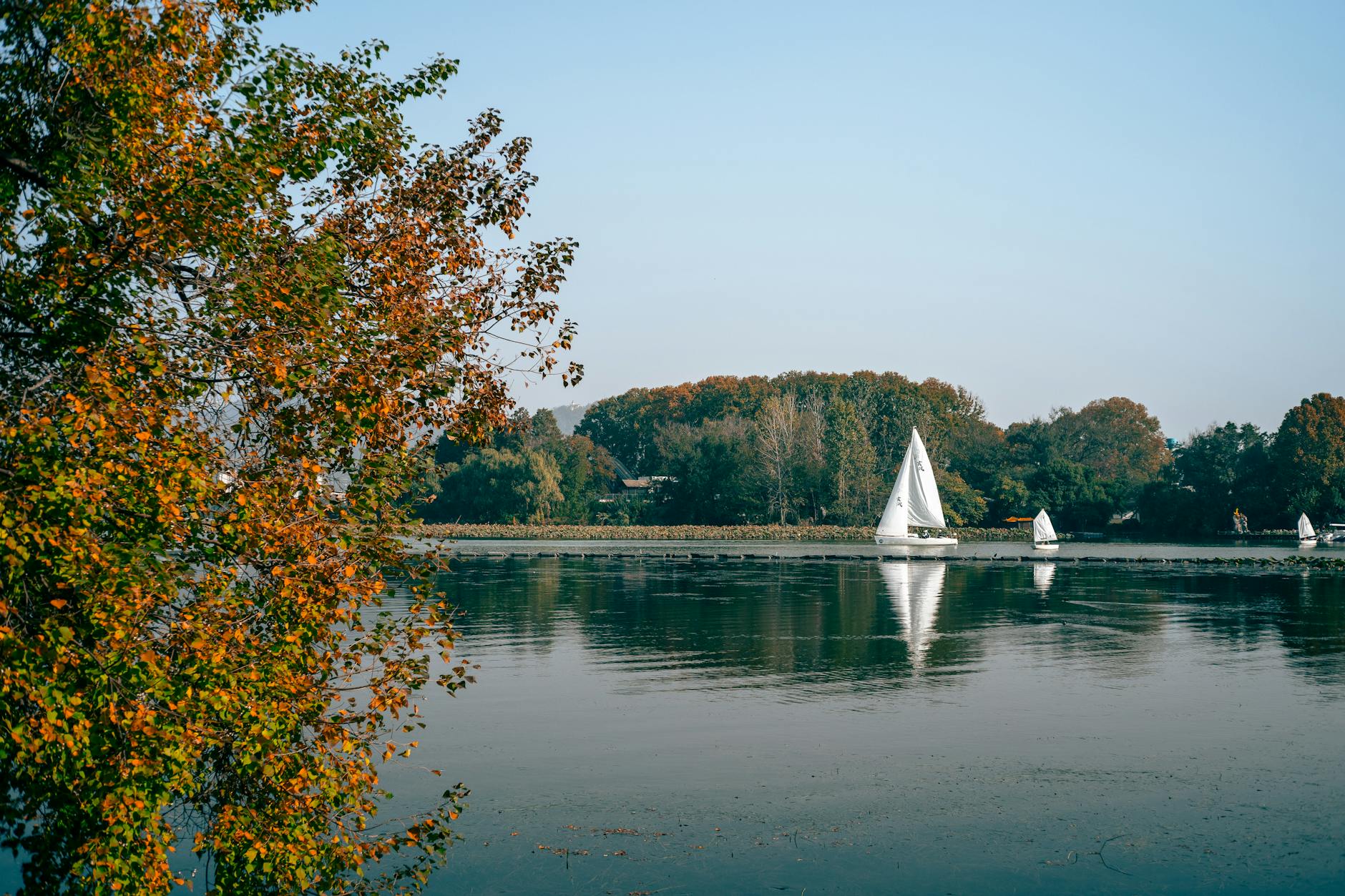 2026-02-24 日記 - 会議と在宅勤務、朝、加湿器のスイッチを入れた瞬…。